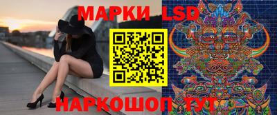 сатива Ставрополь