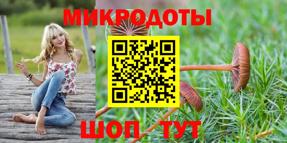 Советская Гавань  Псилоцибиновые грибы Cubensis  Вход с VPN  Галлюциногенные грибы ЛСД 